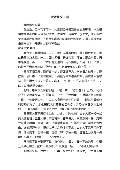 武术作文5篇