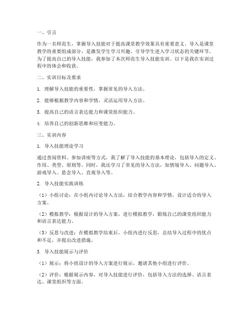 师范生导入技能实训报告