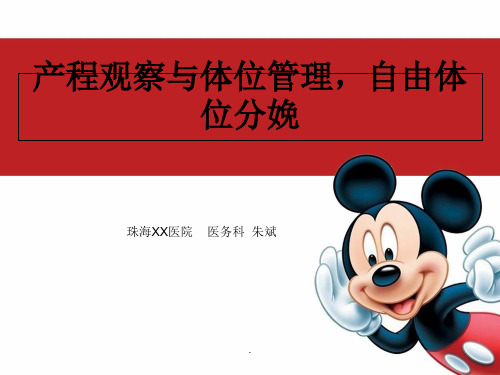 产程观察与体位管理-自由体位分娩完整版本