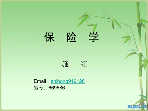 1第一讲风险管理与保险2019-PPT精选文档