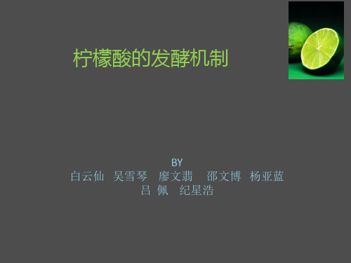 柠檬酸发酵机制讲述