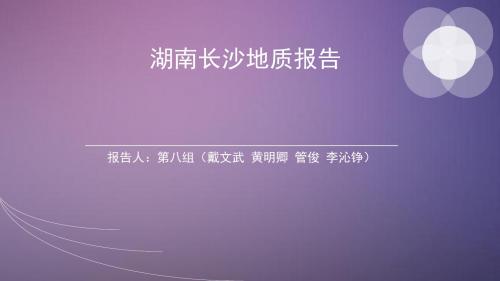 湖南长沙地质报告
