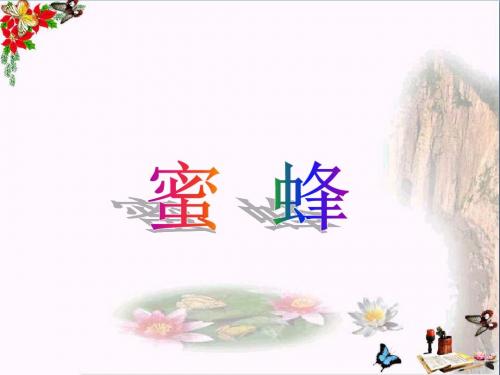六年级语文上册蜜蜂 PPT精品课件1湘教版