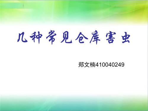 几种常见仓库害虫 ppt课件