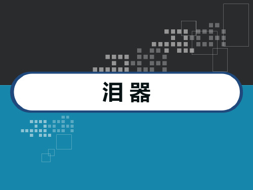 泪器解剖及临床 PPT