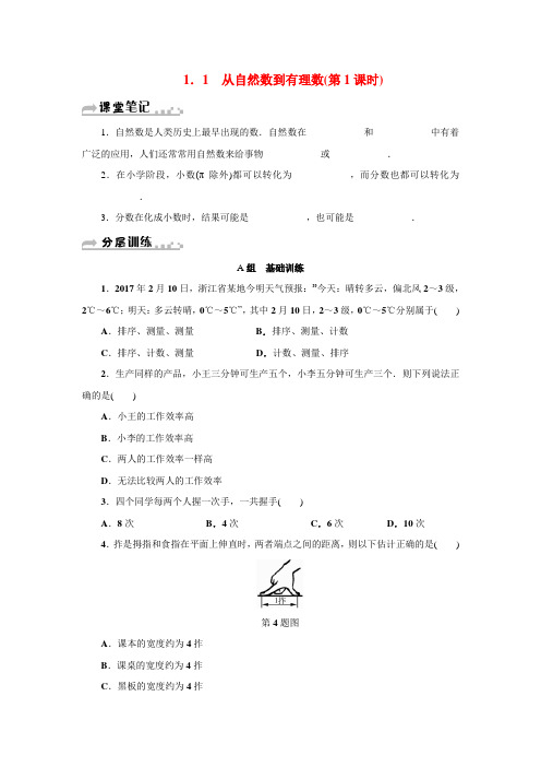 人教版七年级数学上册第1-3章专项训练汇总