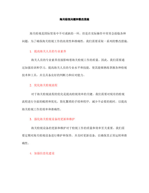 海关检视问题和整改措施