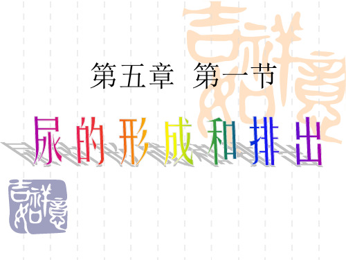 高中生物 第一节尿的形成和排出