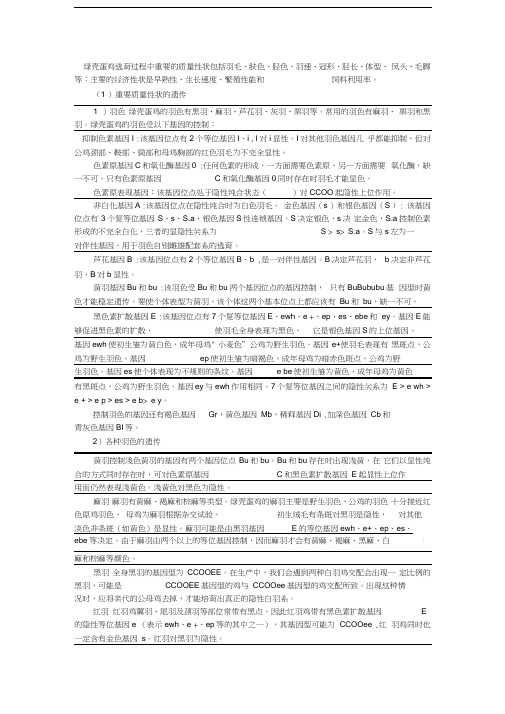 绿壳蛋鸡的遗传特点教学文案