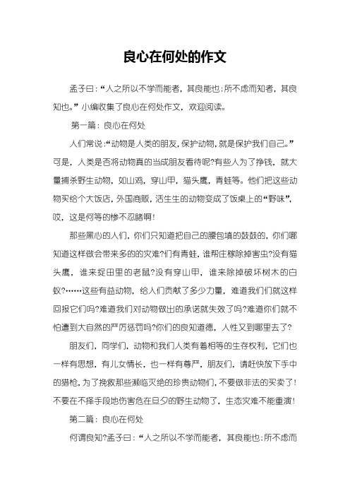 良心在何处的作文