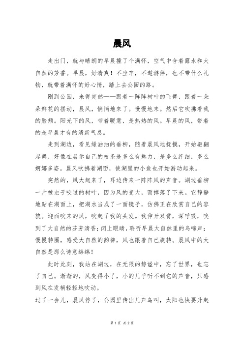 晨风_五年级作文