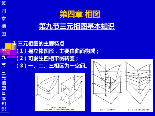 材料科学基础 第四章 相图(3)