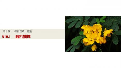 【3份】2017高考数学(文)人教A版(全国)一轮复习课件 第十章 计数原理