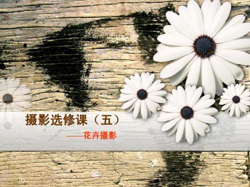 摄影选修课(五)