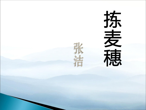 《拣麦穗》PPT课件【优秀课件PPT】