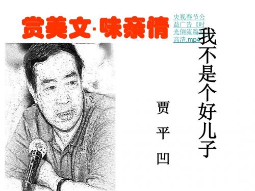 鲁人版必修三高中语文《我不是一个好儿子》课件