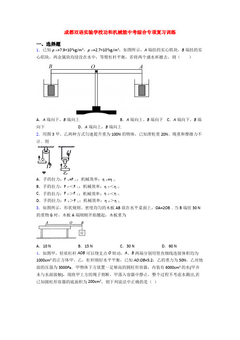 成都双语实验学校功和机械能中考综合专项复习训练