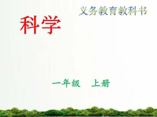 教科版小学科学一年级上册：6.校园里的植物