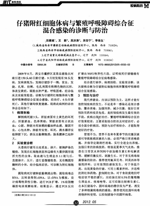 仔猪附红细胞体病与繁殖呼吸障碍综合征混合感染的诊断与防治