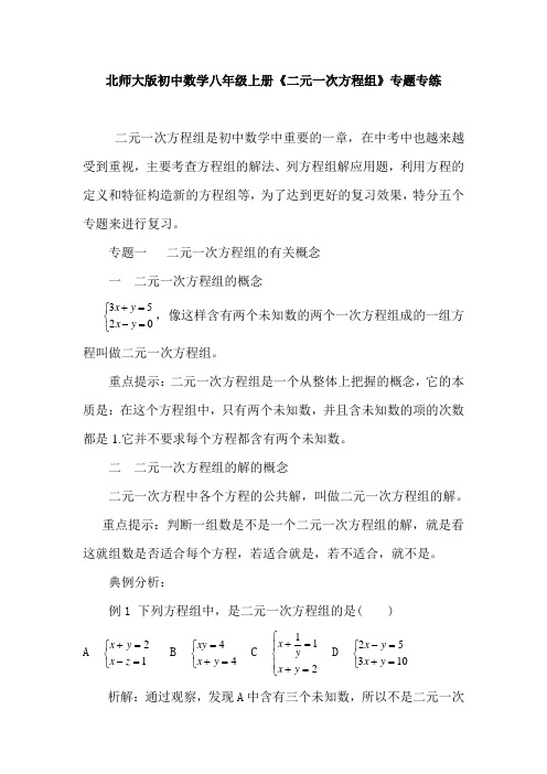 北师大版初中数学八年级上册《二元一次方程组》专题专练