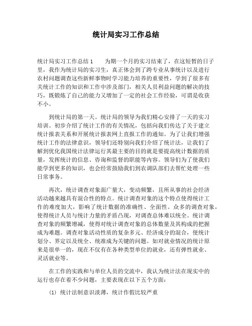 【工作总结范文】统计局实习工作总结