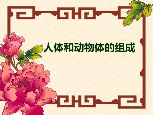【初中生物】人体和动物体的组成ppt3