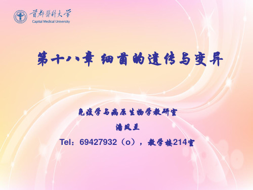 细菌遗传变异