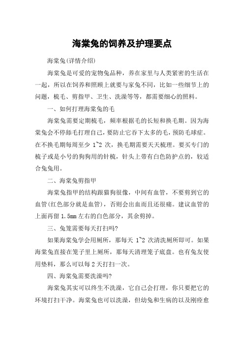 海棠兔的饲养及护理要点