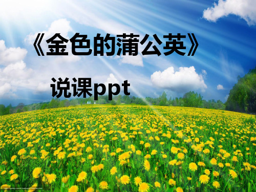 冀教版三年级语文下册说课《金色的蒲公英》课件