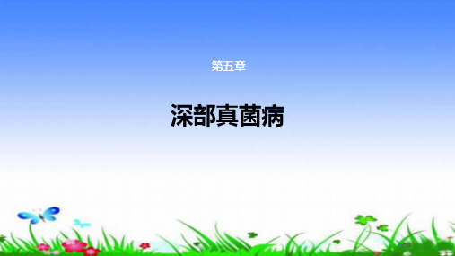 念珠菌病汇总