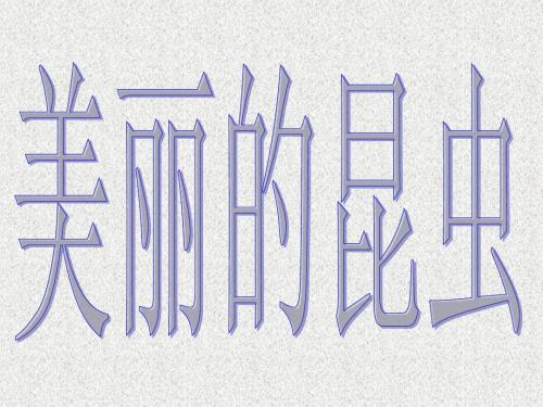 二年级美术上册 美丽的昆虫 1课件 湘美版
