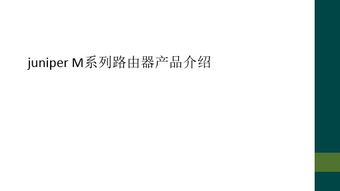 juniper M系列路由器产品介绍
