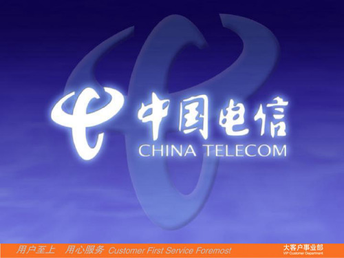 全球眼系统PPTppt课件