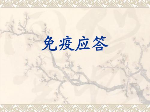 适应性免疫应答9