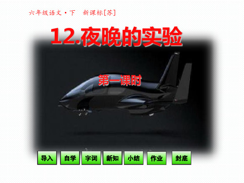 六年级下册语文课件12夜晚的实验第一课时(共20张PPT) _苏教版
