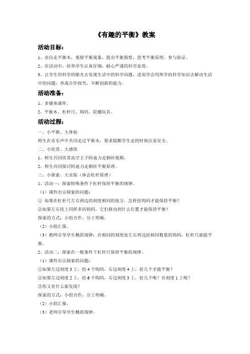 《有趣的平衡》教案4