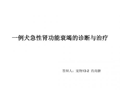 一例犬急性肾功能