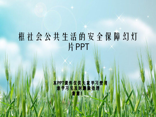 框社会公共生活的安全保障幻灯片PPT