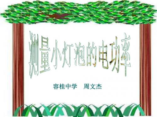八年级物理测量小灯泡的电功率2