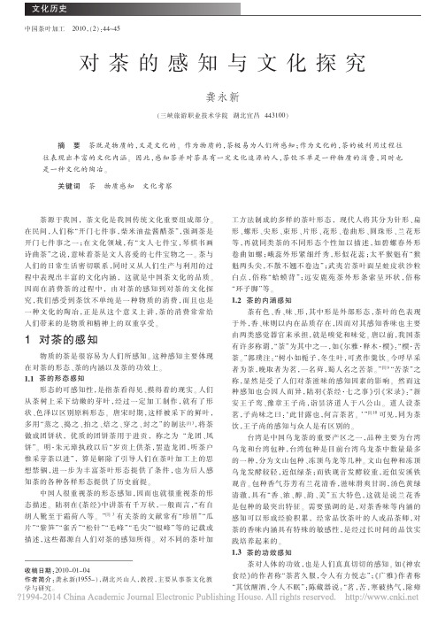 对茶的感知与文化探究