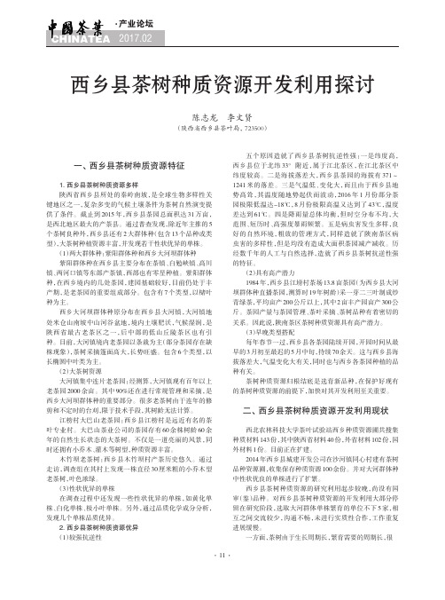 西乡县茶树种质资源开发利用探讨