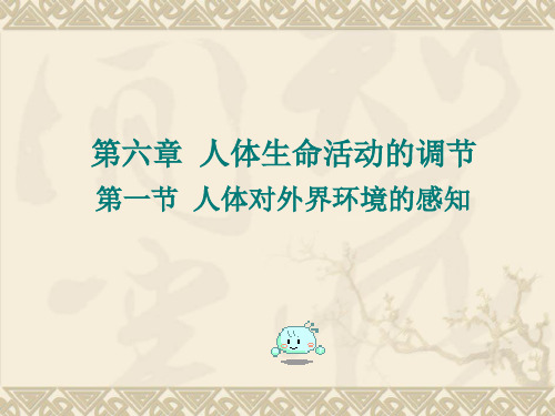 第六章第一节《人体对外界环境的感知》课件1(人教版七年级下)
