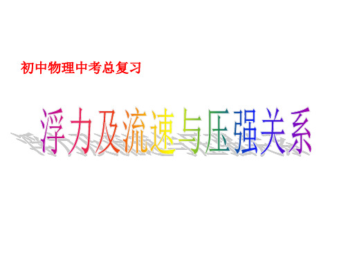 《浮力及其流体力学》复习课件_