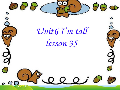 精通版四年级英语上册Unit 6 I'm tall Lesson 35 课件2