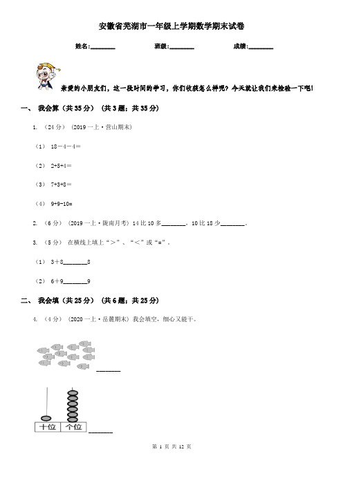 安徽省芜湖市一年级上学期数学期末试卷