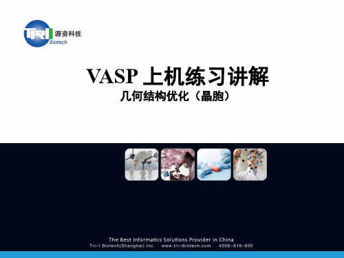2015源资培训班-VASP上机练习讲解(几何结构优化-晶体)