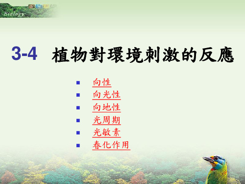 植物对环境刺激的反应