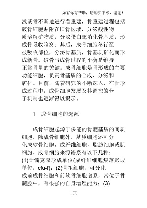 成骨细胞骨形成机制