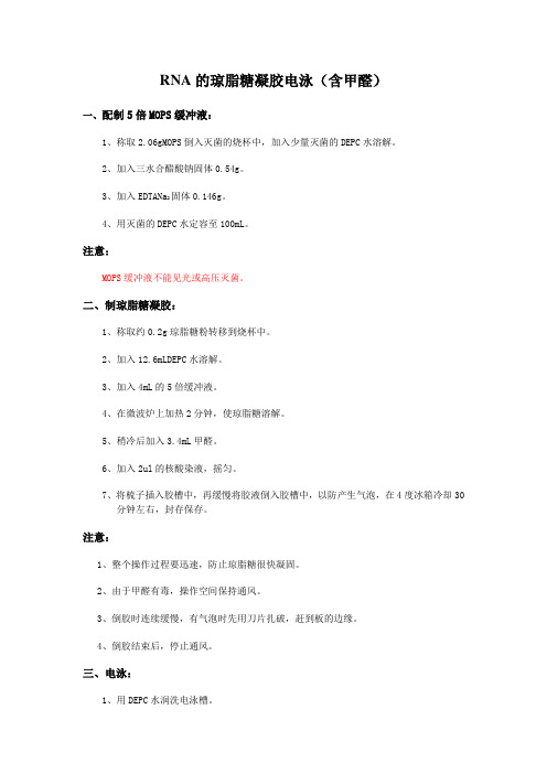 RNA的琼脂糖凝胶电泳(含甲醛)