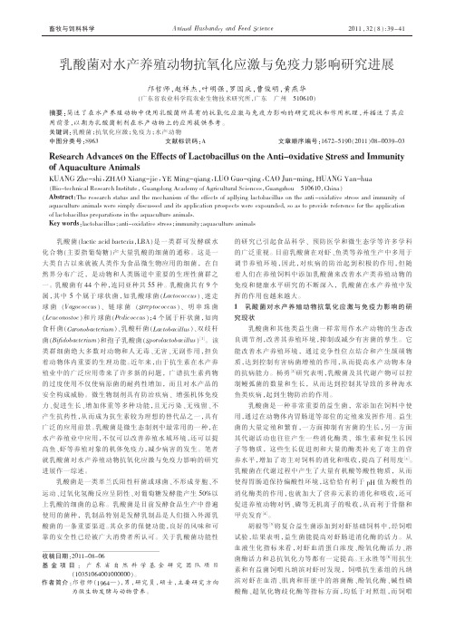 乳酸菌对水产养殖动物抗氧化应激与免疫力影响研究进展